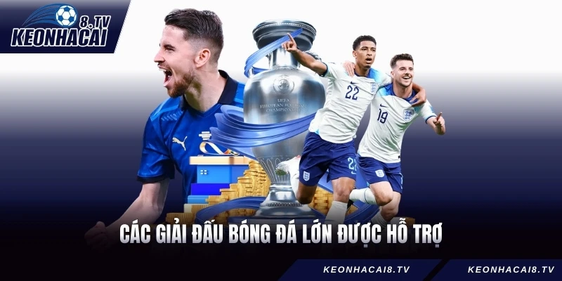 Các giải đấu bóng đá lớn được hỗ trợ
