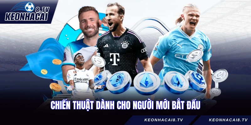 Chiến thuật dành cho người mới bắt đầu