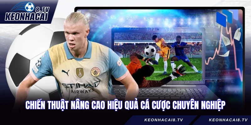 Chiến thuật nâng cao hiệu quả cá cược chuyên nghiệp