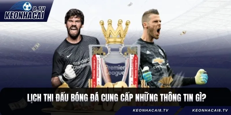 Lịch thi đấu bóng đá cung cấp những thông tin gì?