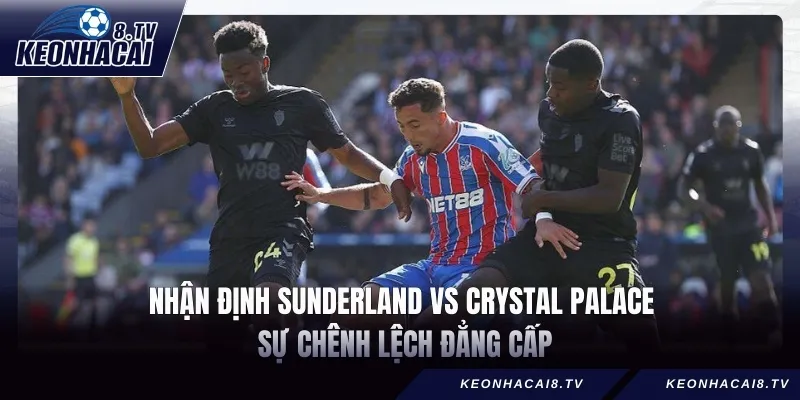 Nhận định Sunderland vs Crystal Palace – Sự chênh lệch đẳng cấp