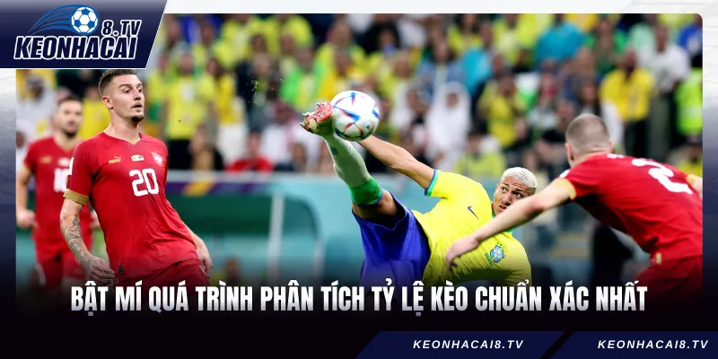 Bật mí quá trình phân tích tỷ lệ kèo chuẩn xác nhất